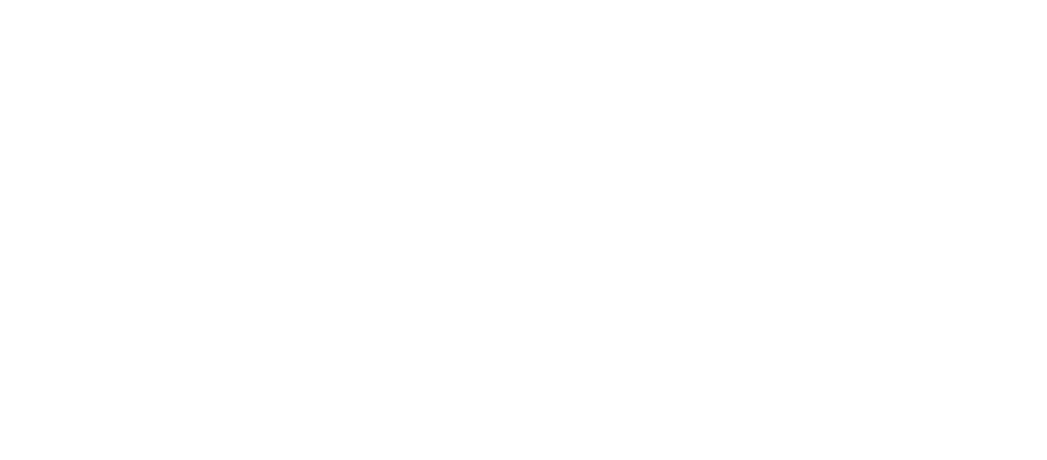 Logo SportBridge